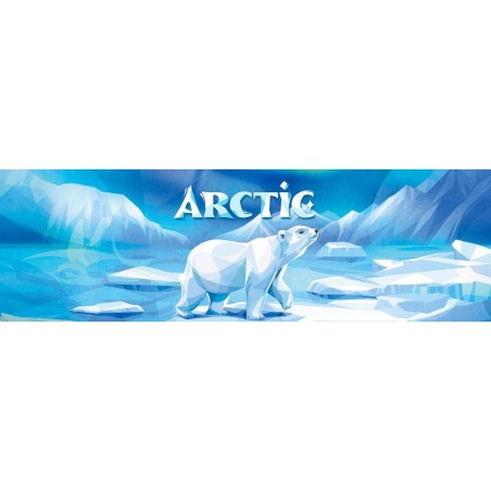 Arctic - Ludonaute