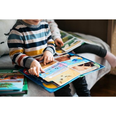 Ma 1Ere Aventure : Au Coeur De La Jungle - Game Flow