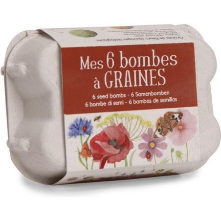 Boite 6 bombes à graines - Moulin Roty