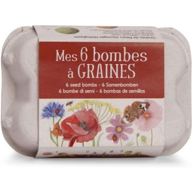 Boite 6 bombes à graines - Moulin Roty