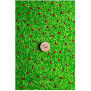 Bouteille sensorielle Sound - Coccinelles - Petit Boum