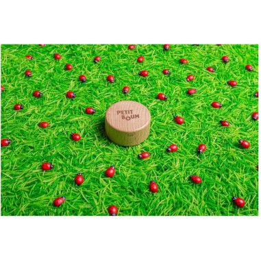 Bouteille sensorielle Sound - Coccinelles - Petit Boum