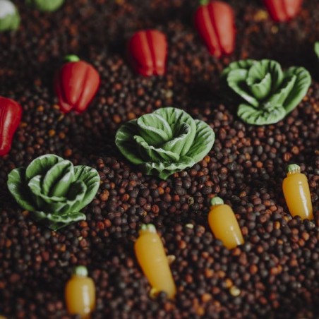 Bouteille sensorielle légumes - Petit Boum