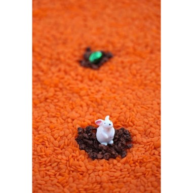 Bouteille sensorielle sound lapin - Petit Boum