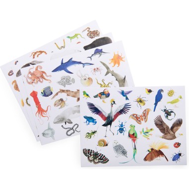 78 gommettes repositionnables - Tout autour du monde - Moulin Roty