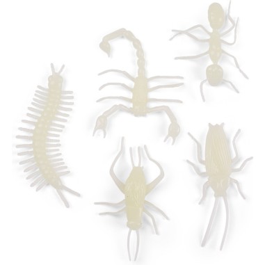Insectes Phosphorescents - Les Petites Merveilles - Moulin Roty