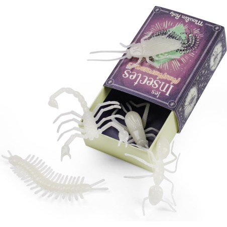 Insectes Phosphorescents - Les Petites Merveilles - Moulin Roty