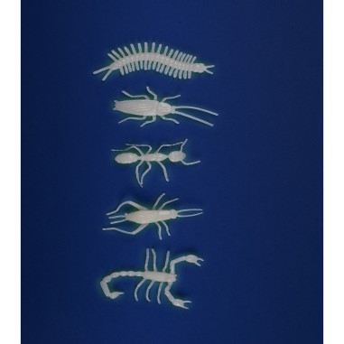 Insectes Phosphorescents - Les Petites Merveilles - Moulin Roty