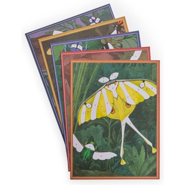Cartes fantastiques Tout autour du monde - Moulin Roty