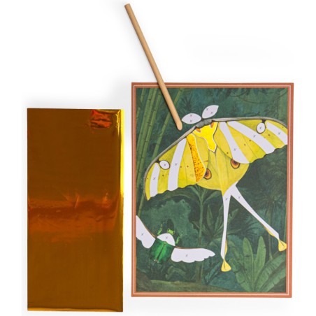 Cartes fantastiques Tout autour du monde - Moulin Roty
