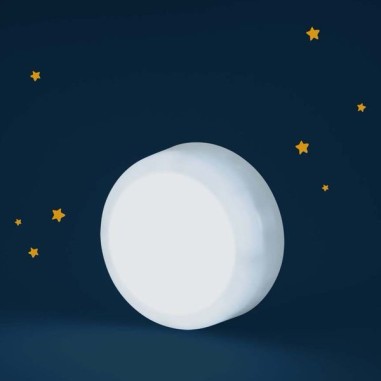 Otarie lumineuse Les aventures de Paulie - Moulin Roty