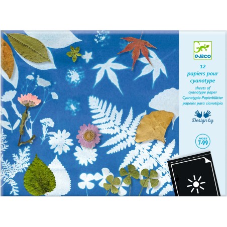 Coffret Cyanotype Papier pour Cyanotype - Papier photosensible - Djeco