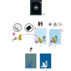 Coffret Cyanotype Papier pour Cyanotype - Papier photosensible - Djeco 2