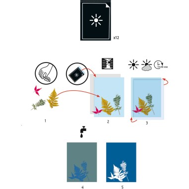Coffret Cyanotype Papier pour Cyanotype - Papier photosensible - Djeco