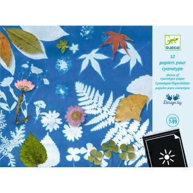 Coffret Cyanotype Papier pour Cyanotype - Papier photosensible - Djeco