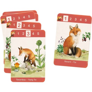 Jeu de 7 familles Le Jardin - Moulin Roty