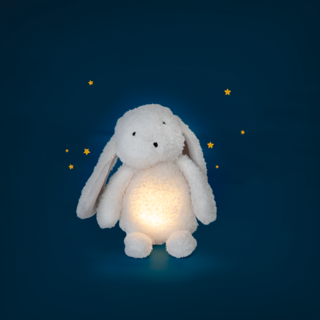 Lapin lumineux Puce & Pilou - Puce & Pilou - Moulin Roty