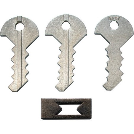 Casse-Tête Huzzle Cast Key Iii - Un jeu Hanayama - Gigamic