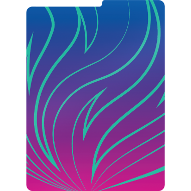 EV09 : coffret Dresseur d'Elite - Pokémon