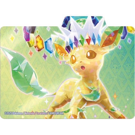 EV8.5 : Coffret de rangement - Pokémon