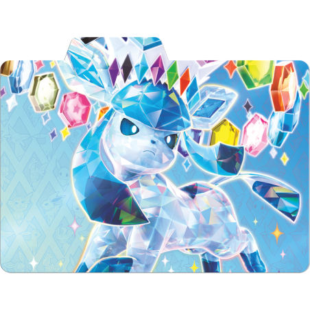 EV8.5 : Coffret de rangement - Pokémon