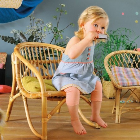 Harmonica pour enfant - Aujourd'hui c'est Mercredi - Moulin Roty