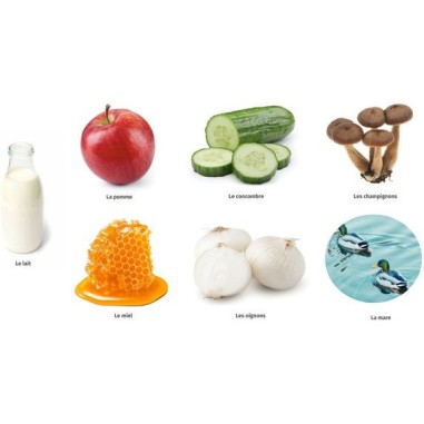 Mon livre des odeurs et des couleurs - La ferme - Auzou