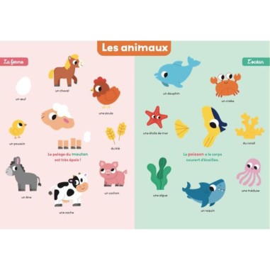 Livre Mon premier imagier à toucher - Auzou