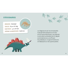 Mes 2 dinosaures à déterrer - Auzou 2