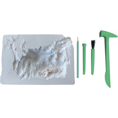 Mes 2 dinosaures à déterrer - Auzou