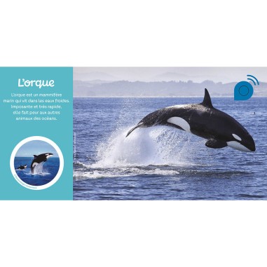 Mes premiers sonores - Les animaux du froid - Auzou