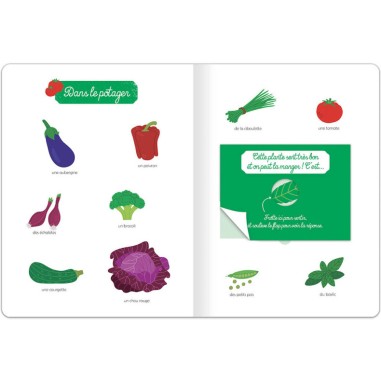 Ma première nature à sentir - Auzou