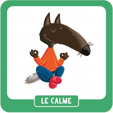P'tit loup - Mémo des Emotions - Jeux enfants - Auzou