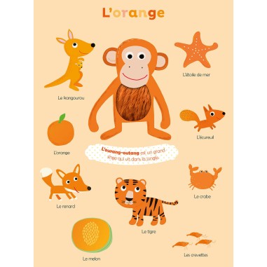 Mes premières couleurs à toucher - Auzou