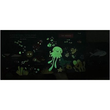 Mon anim'agier - Je brille dans la nuit - Auzou