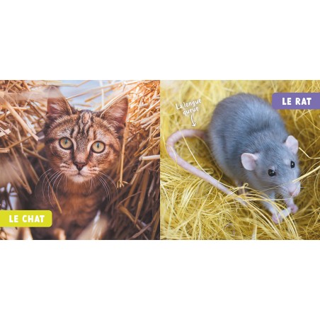 Mon premier doc photo - Les animaux de la ferme - Auzou