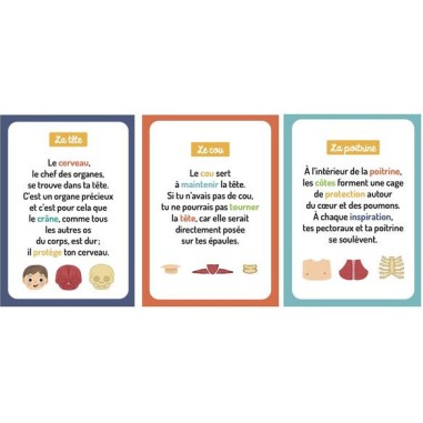 Mon petit coffret aimanté - Le corps humain - Auzou