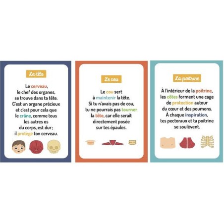 Mon petit coffret aimanté - Le corps humain - Auzou