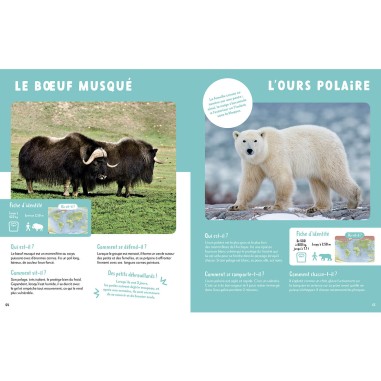 Mon premier doc - Mon très grand animalier - Auzou