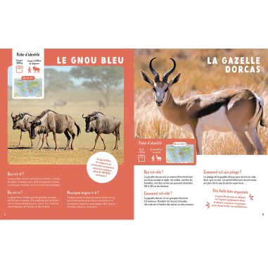 Mon premier doc - Mon très grand animalier - Auzou