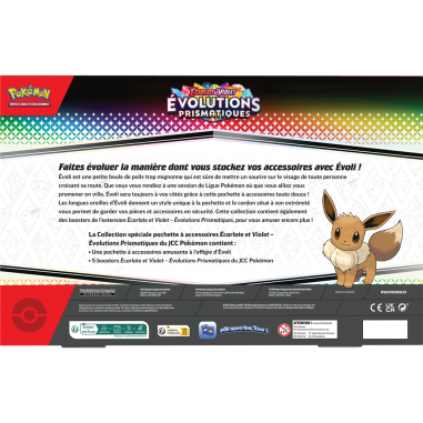 EV8.5 : Coffret Accessoires - Pokémon