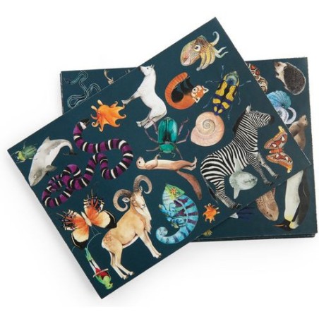 Jeu cherche et trouve Tout autour du monde - Moulin Roty