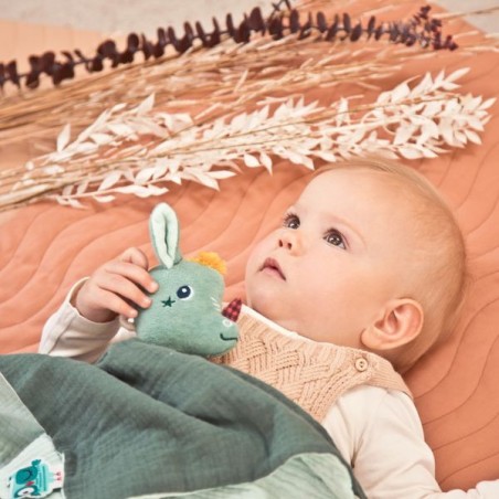 Doudou Joe en coton bio - Cadeau de naissance - Lilliputiens