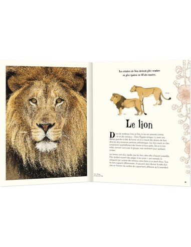 L'anthologie illustree des animaux fascinants - Auzou