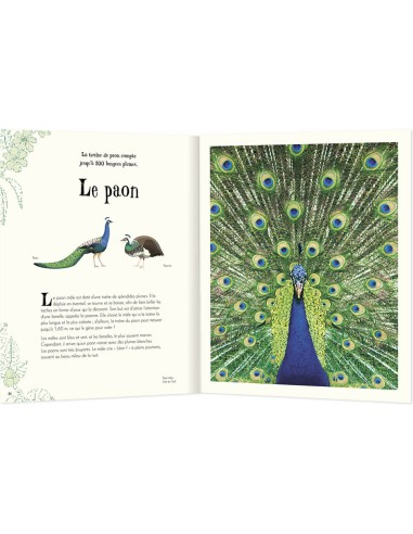 L'anthologie illustree des animaux fascinants - Auzou