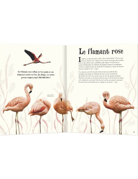 L'anthologie illustree des animaux fascinants - Auzou