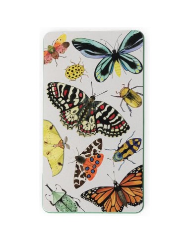 12 crayons de couleur multicolores Tout Autour du Monde - Moulin Roty