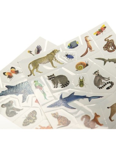 Tatouages Tout autour du monde - Activité enfant - Moulin Roty