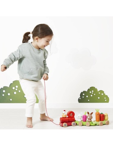 Train de Ferme à tirer - Janod