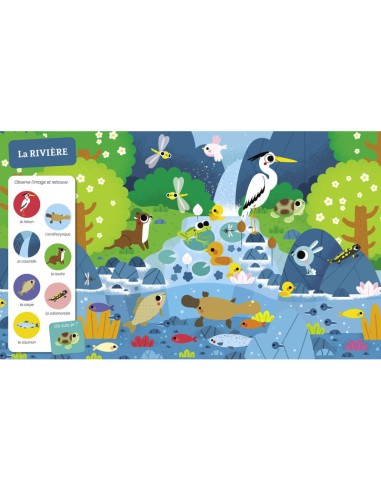 Cherche et trouve des tout-petits - Tous à l'eau - Auzou
